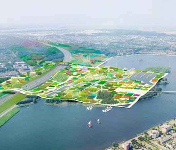 Agendatip - Nieuwe steden in de polder: ruimte en leegte