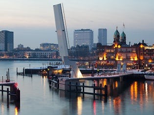 Blog - Rotterdam moet zich richten op de humuslaag van de stad