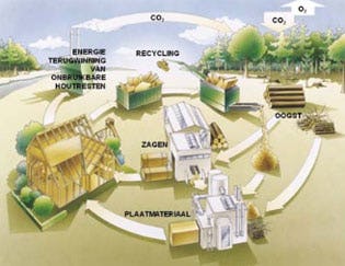 VvdW - Nederlandse bossen leveren biomassa voor duurzame energie