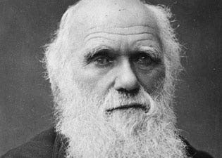 Is Darwin wel duurzaam?