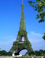 Geen groene Eiffeltoren
