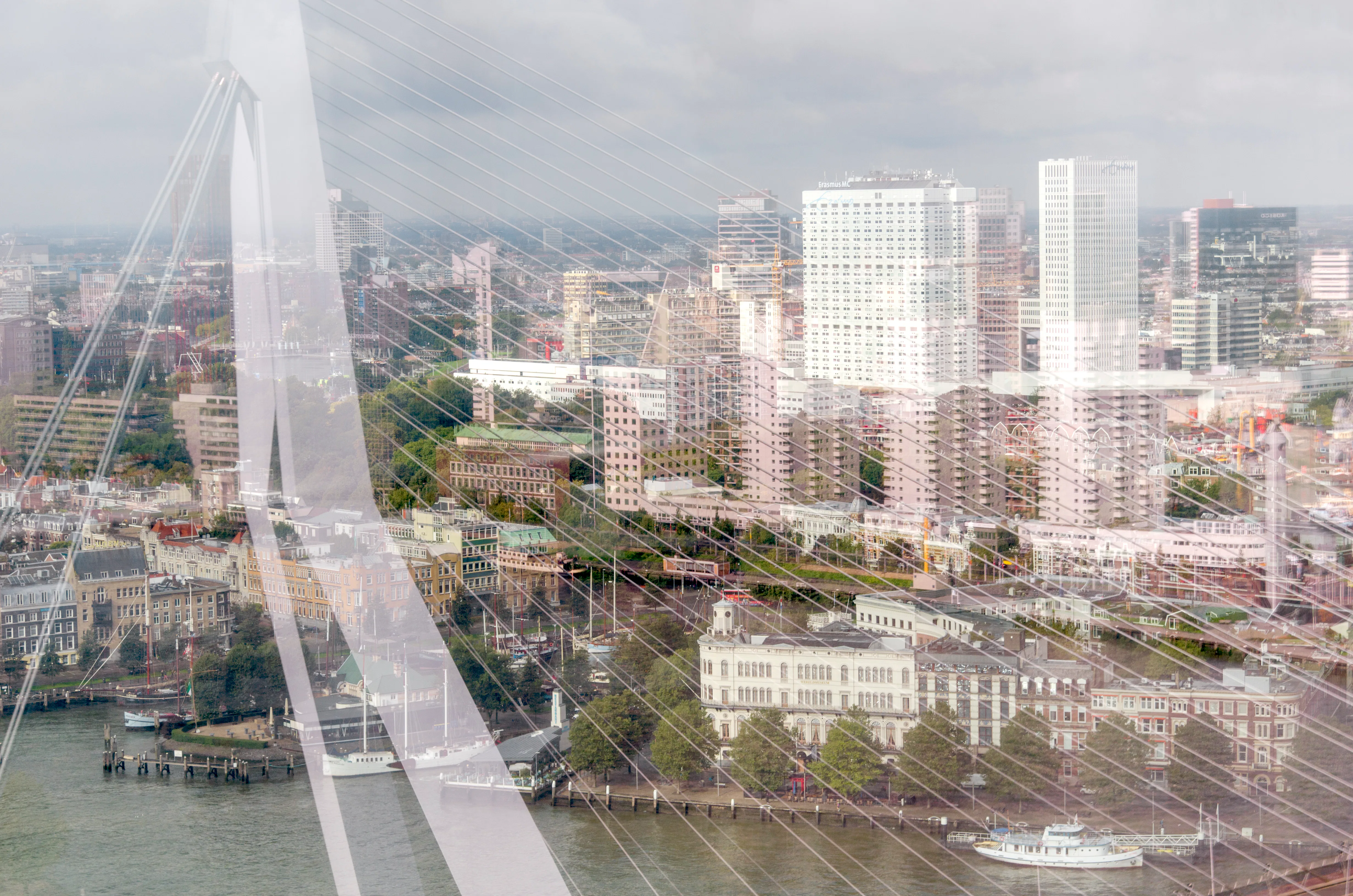 Erasmusbrug Rotterdam Beeld Thea van den Heuvel/DAPh