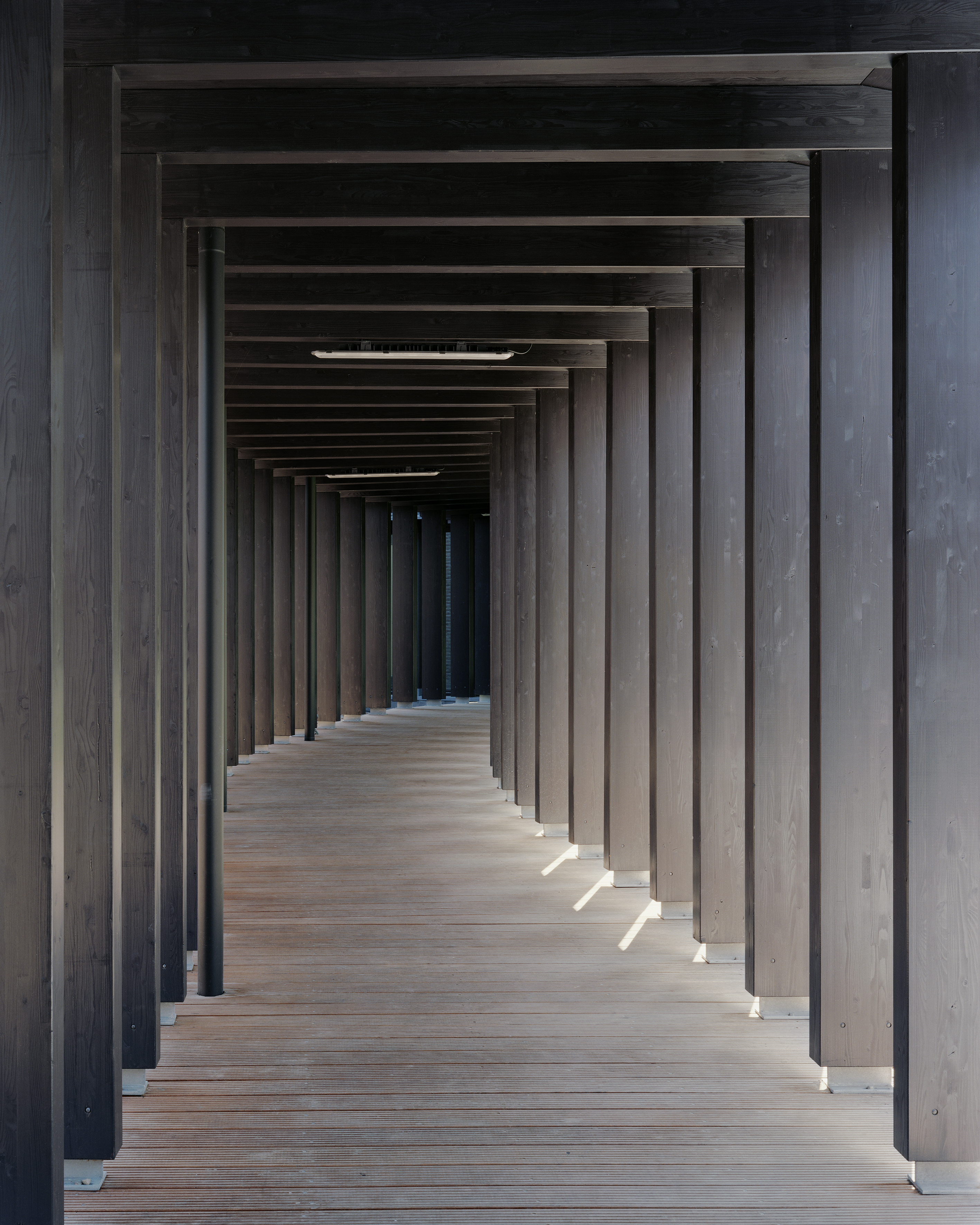 Fryske Akademy Leeuwarden Foto Kim Zwarts