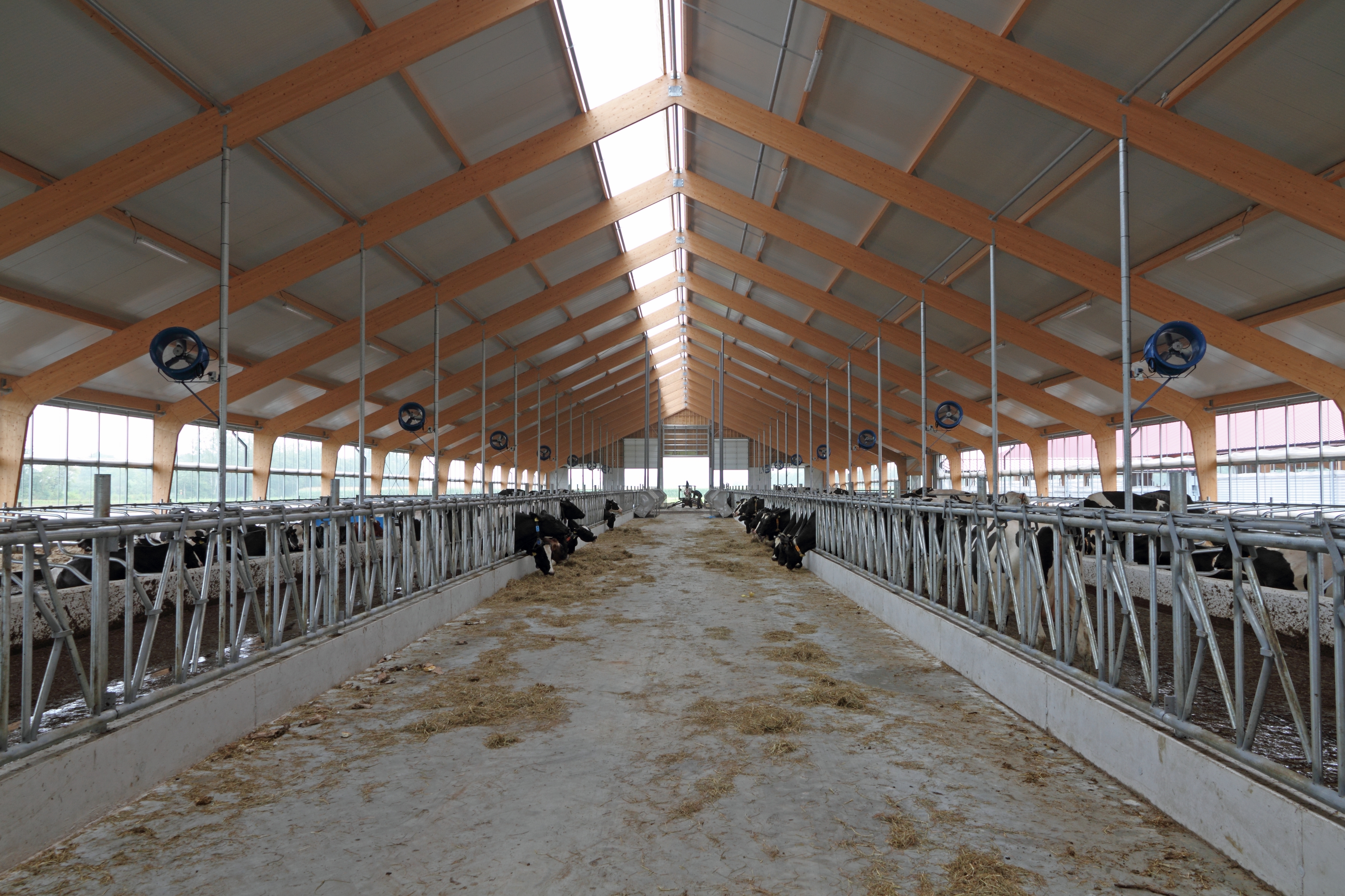 Hout is een hernieuwbare grondstof, duurzaam en mooier dan staal. Hout wordt bovendien niet aangetast door ammoniak.