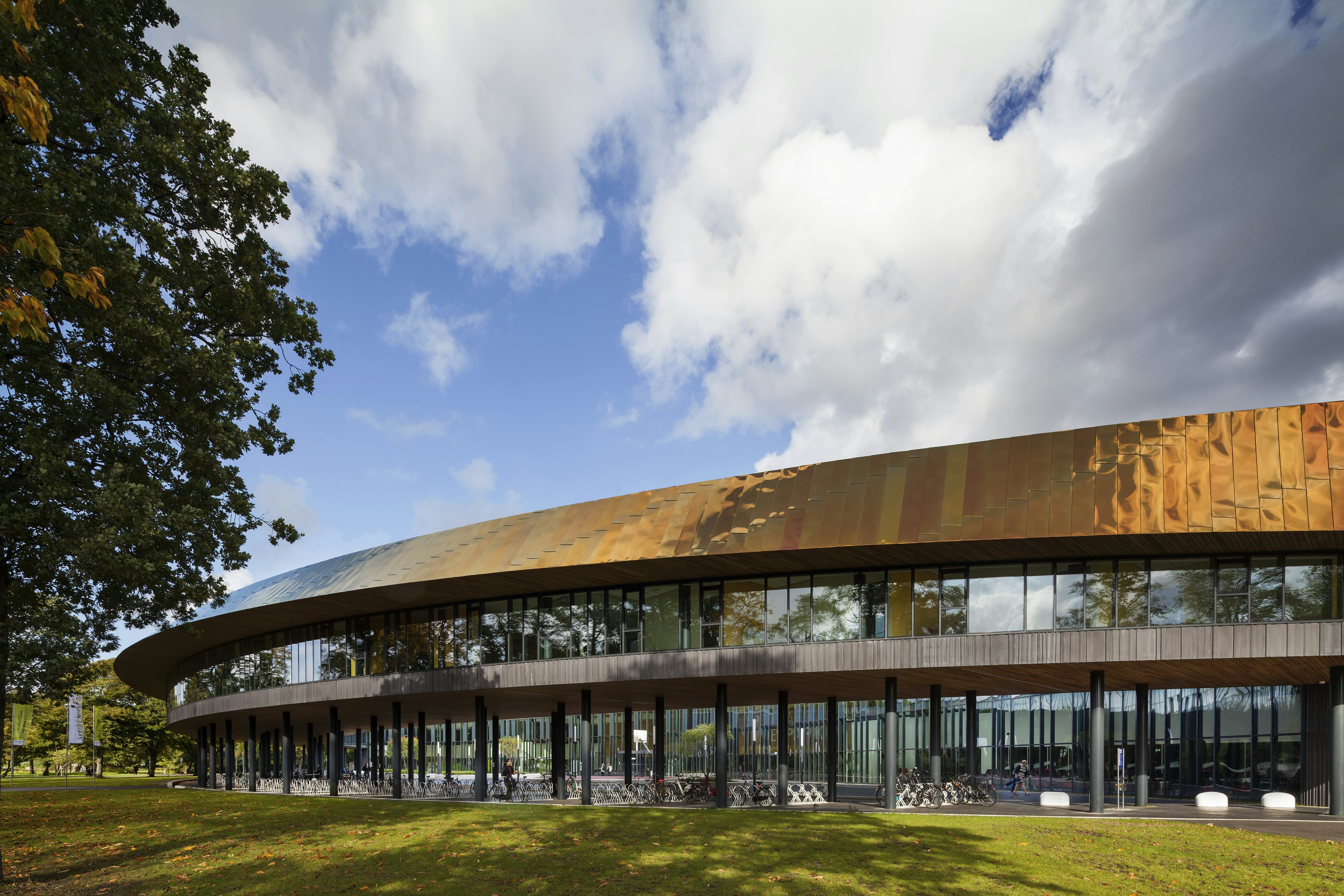 beeld Scagliola Brakkee