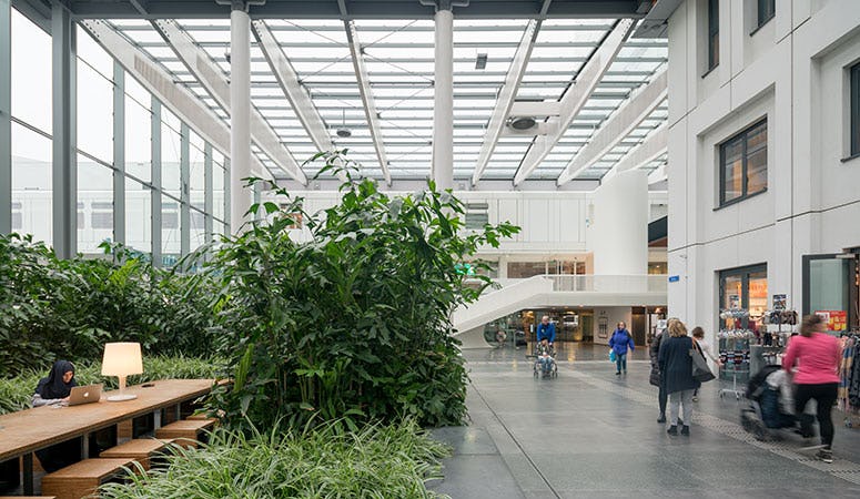 Erasmus MC, beeld Ossip