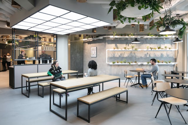 Urban Jungle Groothandelsgebouw, Rotterdam - Kraaijvanger Architects, Green Fortune