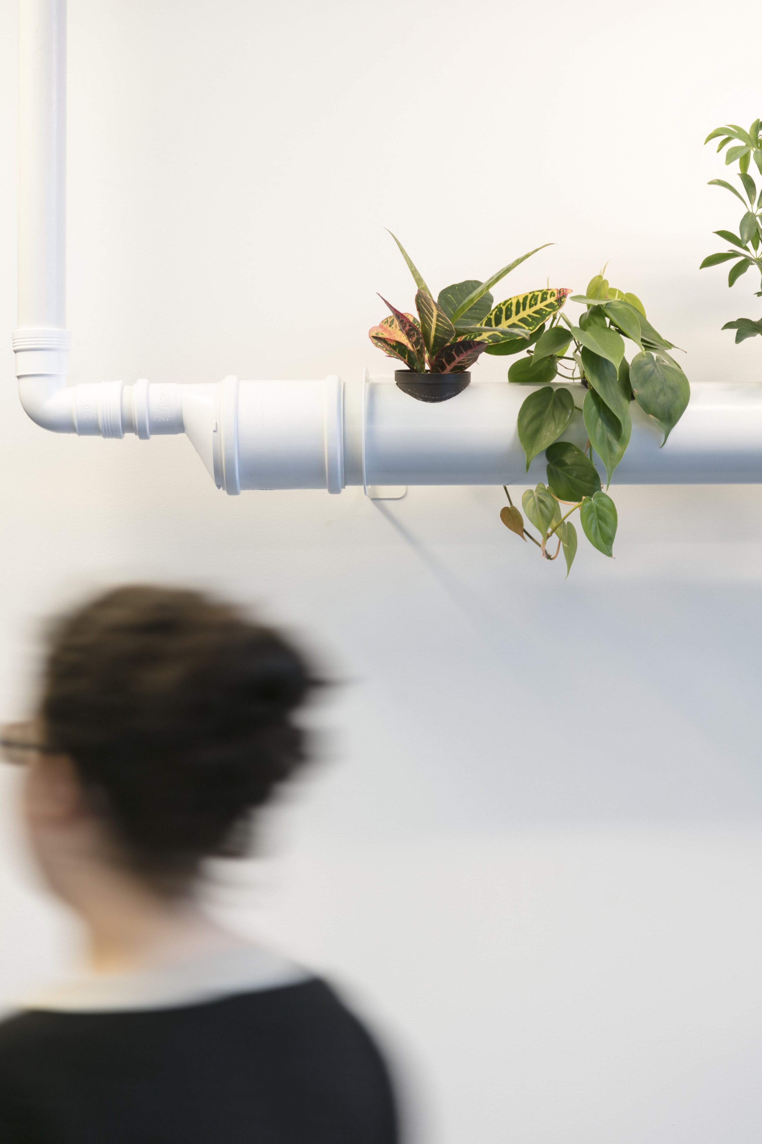 Urban Jungle Groothandelsgebouw, Rotterdam - Kraaijvanger Architects, Green Fortune