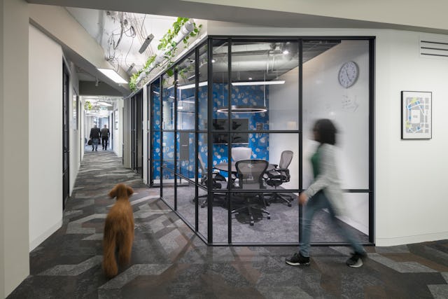 Urban Jungle Groothandelsgebouw, Rotterdam - Kraaijvanger Architects, Green Fortune