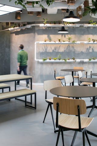 Urban Jungle Groothandelsgebouw, Rotterdam - Kraaijvanger Architects, Green Fortune