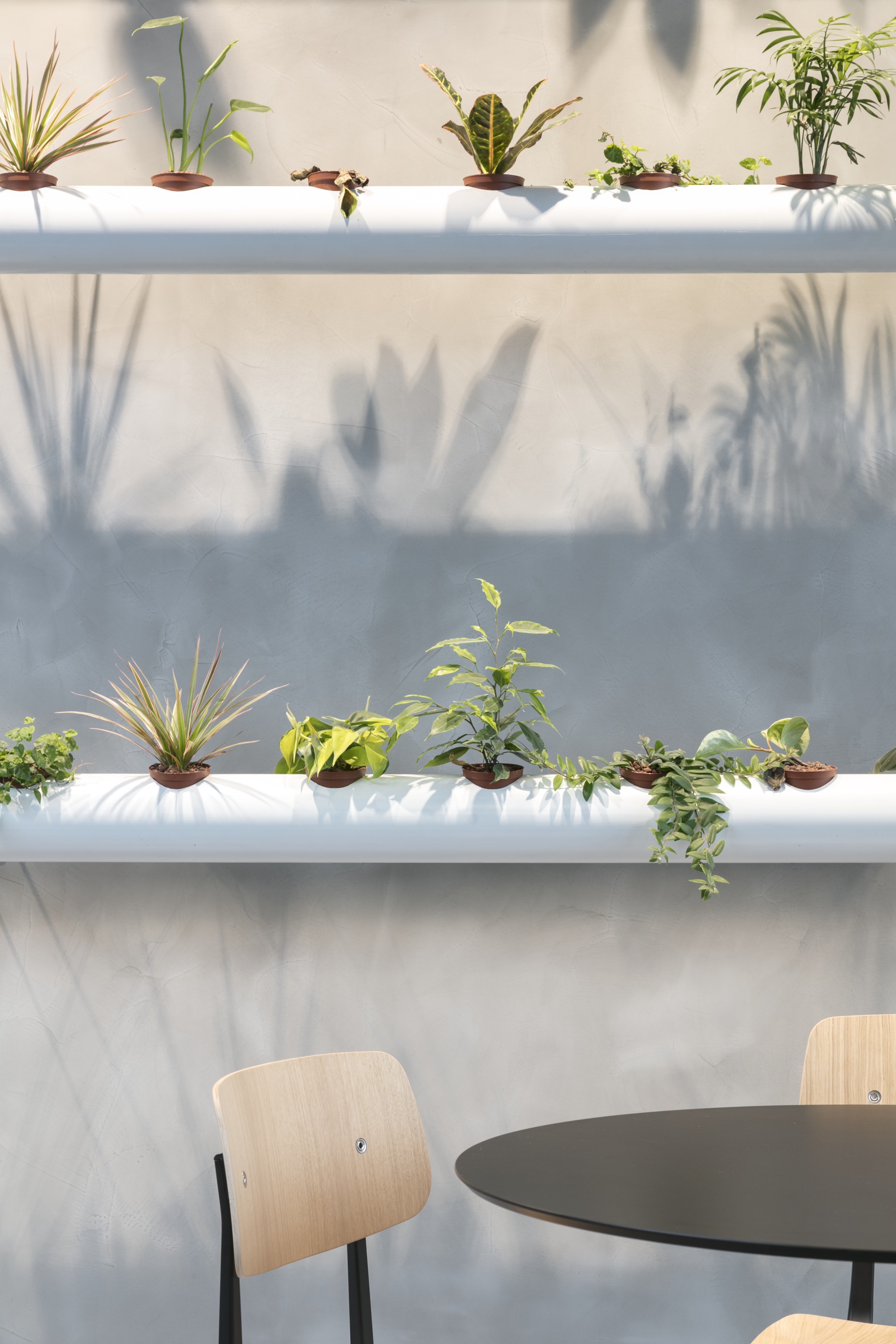 Urban Jungle Groothandelsgebouw, Rotterdam - Kraaijvanger Architects, Green Fortune