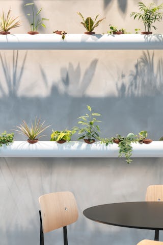 Urban Jungle Groothandelsgebouw, Rotterdam - Kraaijvanger Architects, Green Fortune