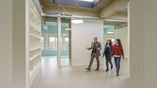 Beeld Frans Parthesius- Consulaat Indonesië, Den Haag - Parthesius, Krill o.r.c.a. + SHAU