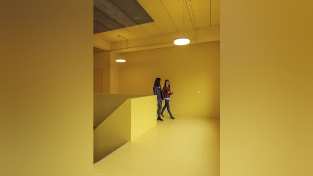 Beeld Frans Parthesius- Consulaat Indonesië, Den Haag - Parthesius, Krill o.r.c.a. + SHAU