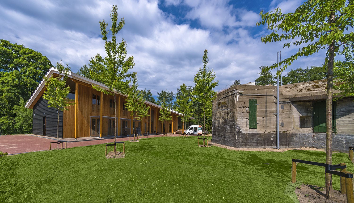 Haags dierenziekenhuis als een symfonie in hout