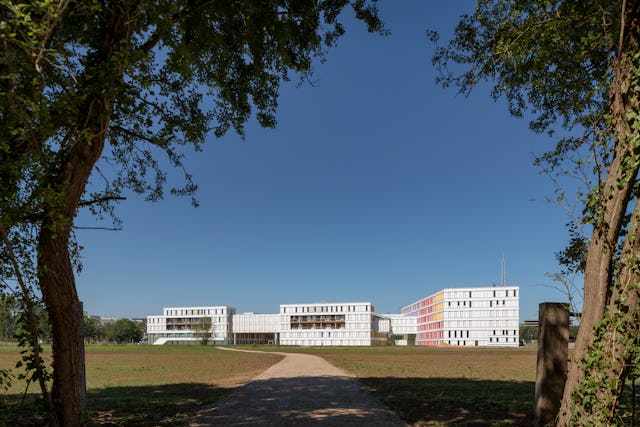 Beeld: Ronald Tilleman