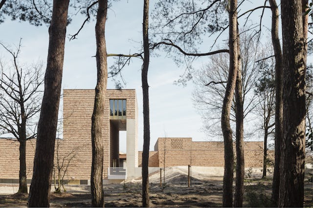 Beeld Stijn Bollaert