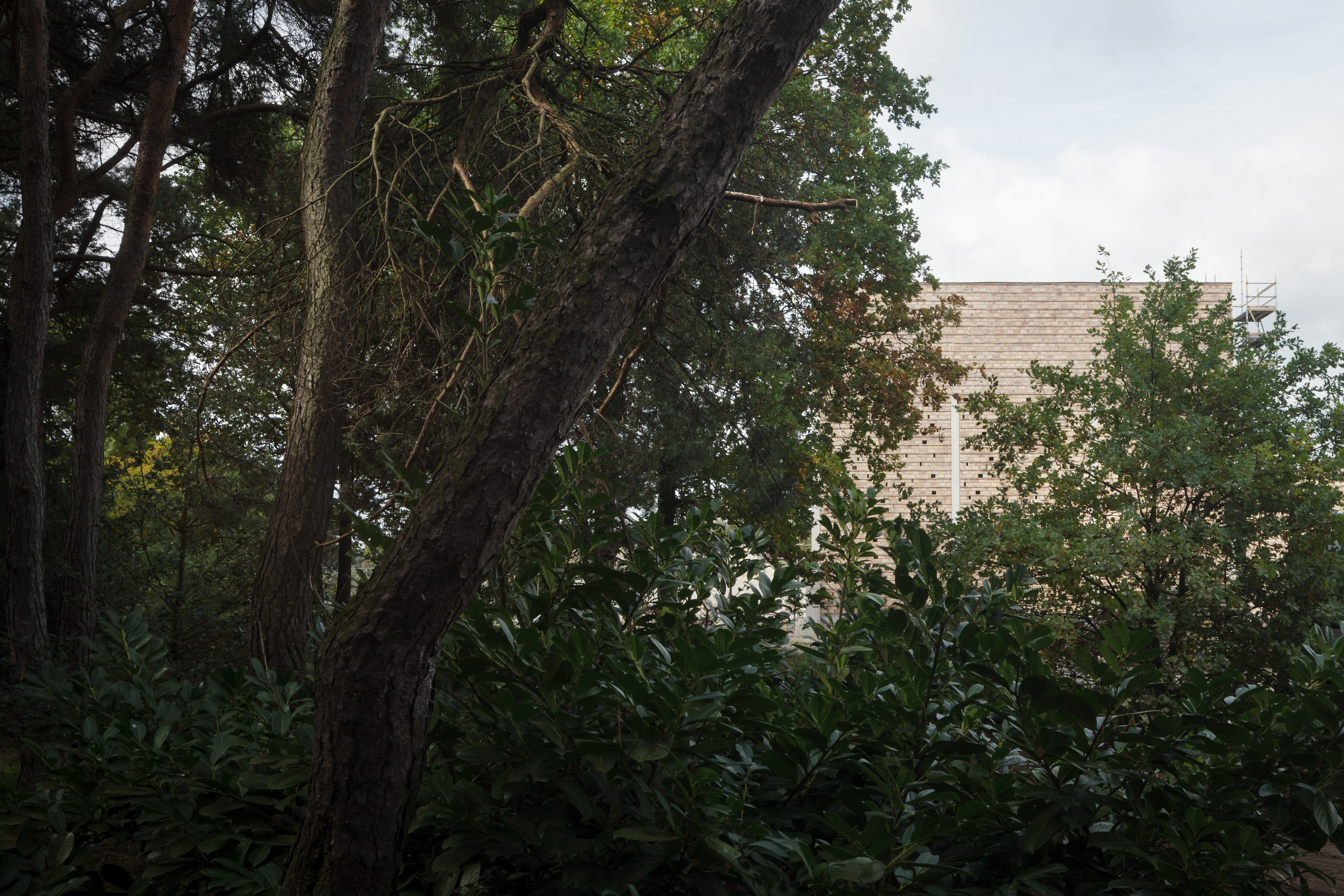 Beeld Stijn Bollaert, Crematorium, Lommel - a2o-architecten
