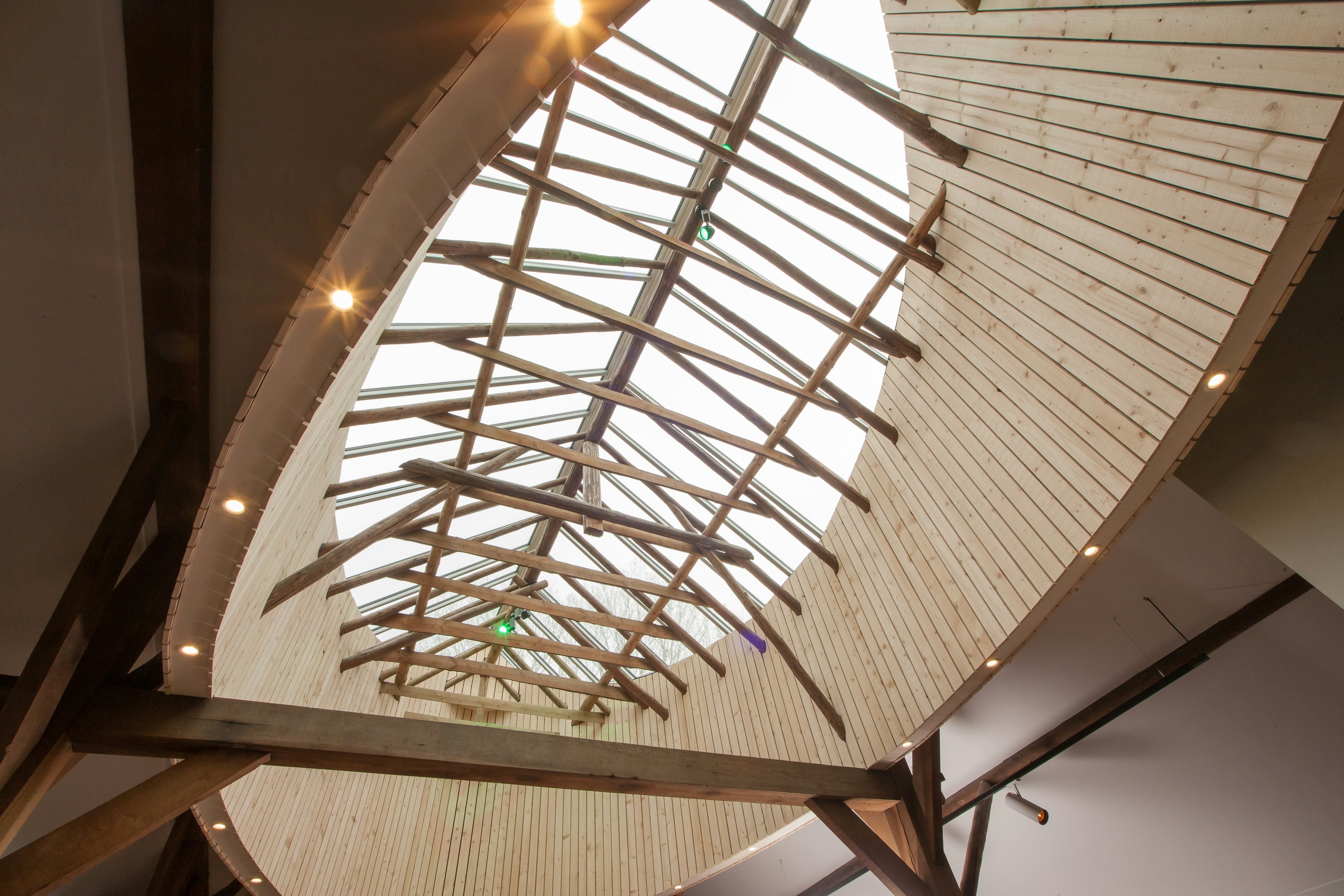 Beeld: Herbert Hendriks, portraitsandprofiles