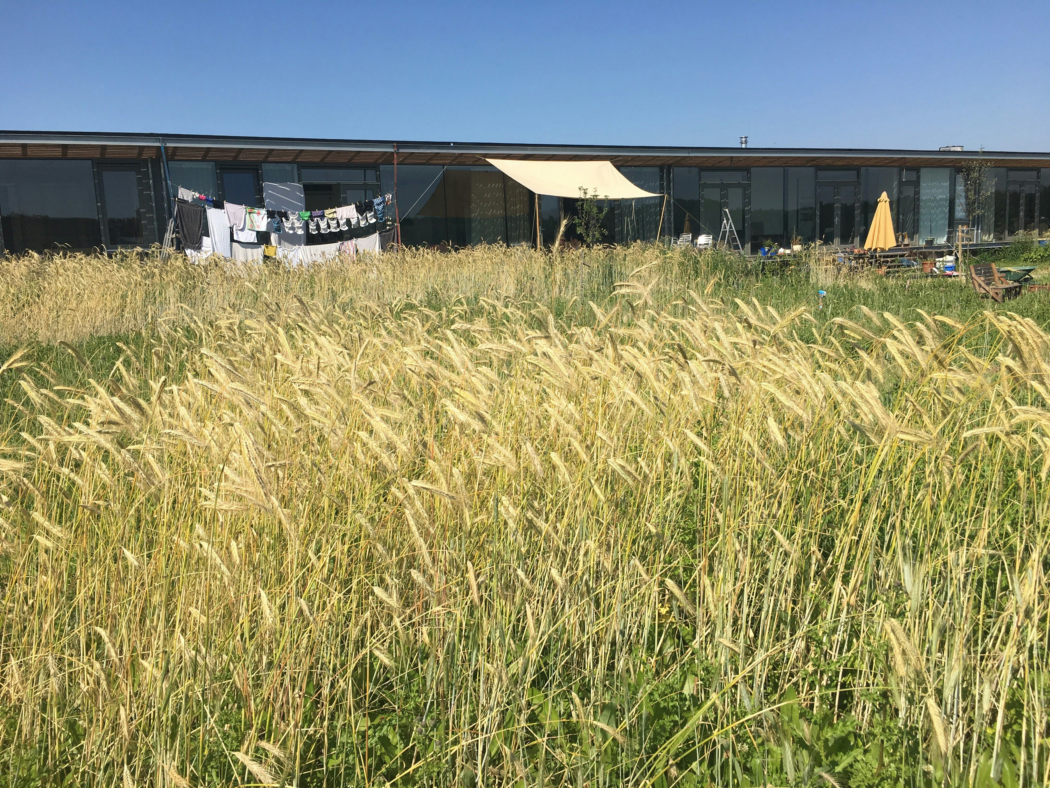 De gebiedsinrichting van Oosterwold in Almere is volledig overgelaten aan de
bewoners. Beeld Harm Tilman