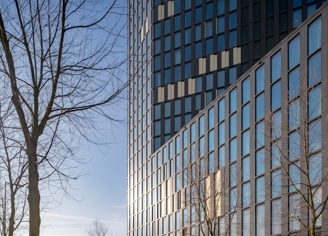 Beeld: Ronald Tilleman