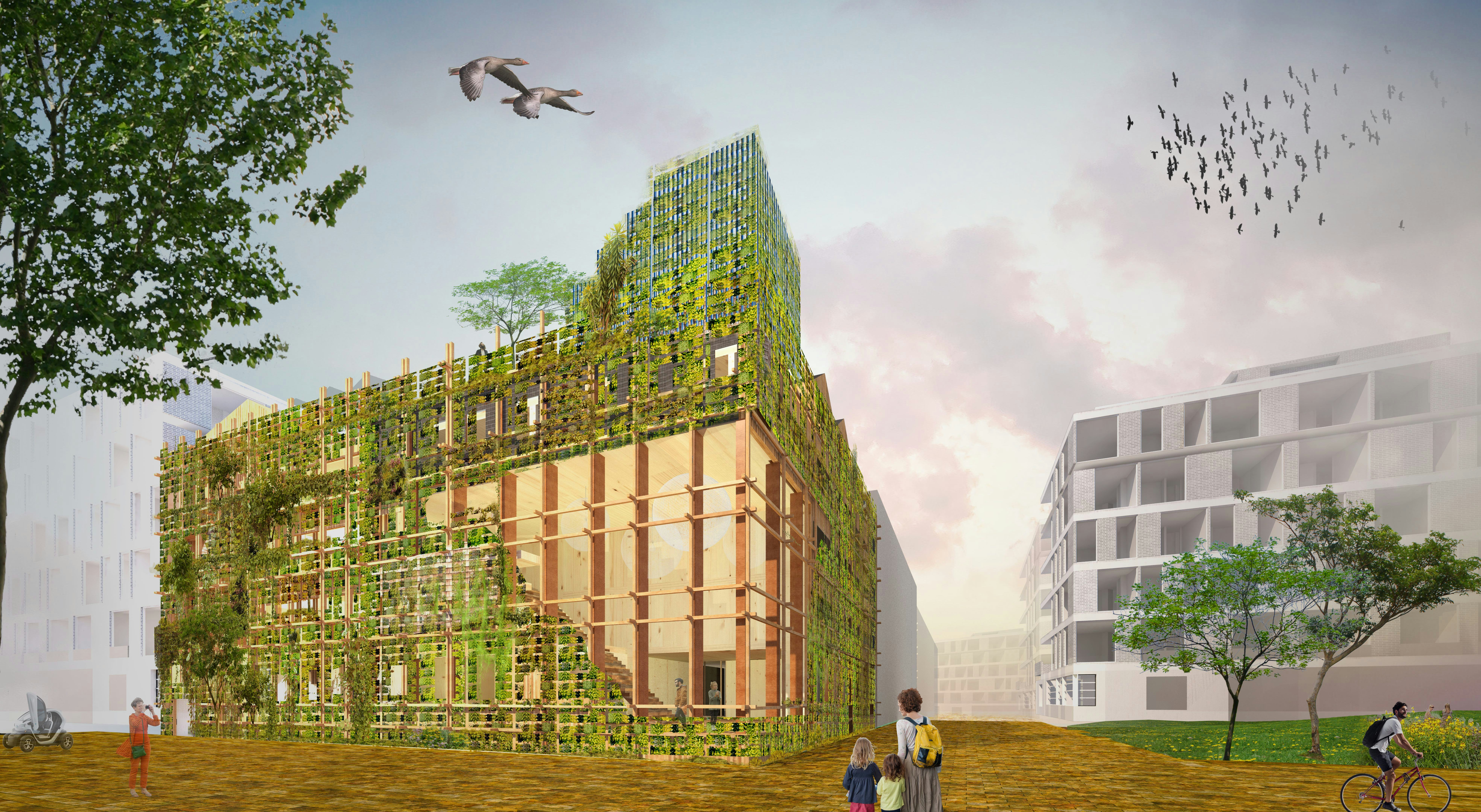 Biophilic Co-Housing voor Centrumeiland Amsterdam