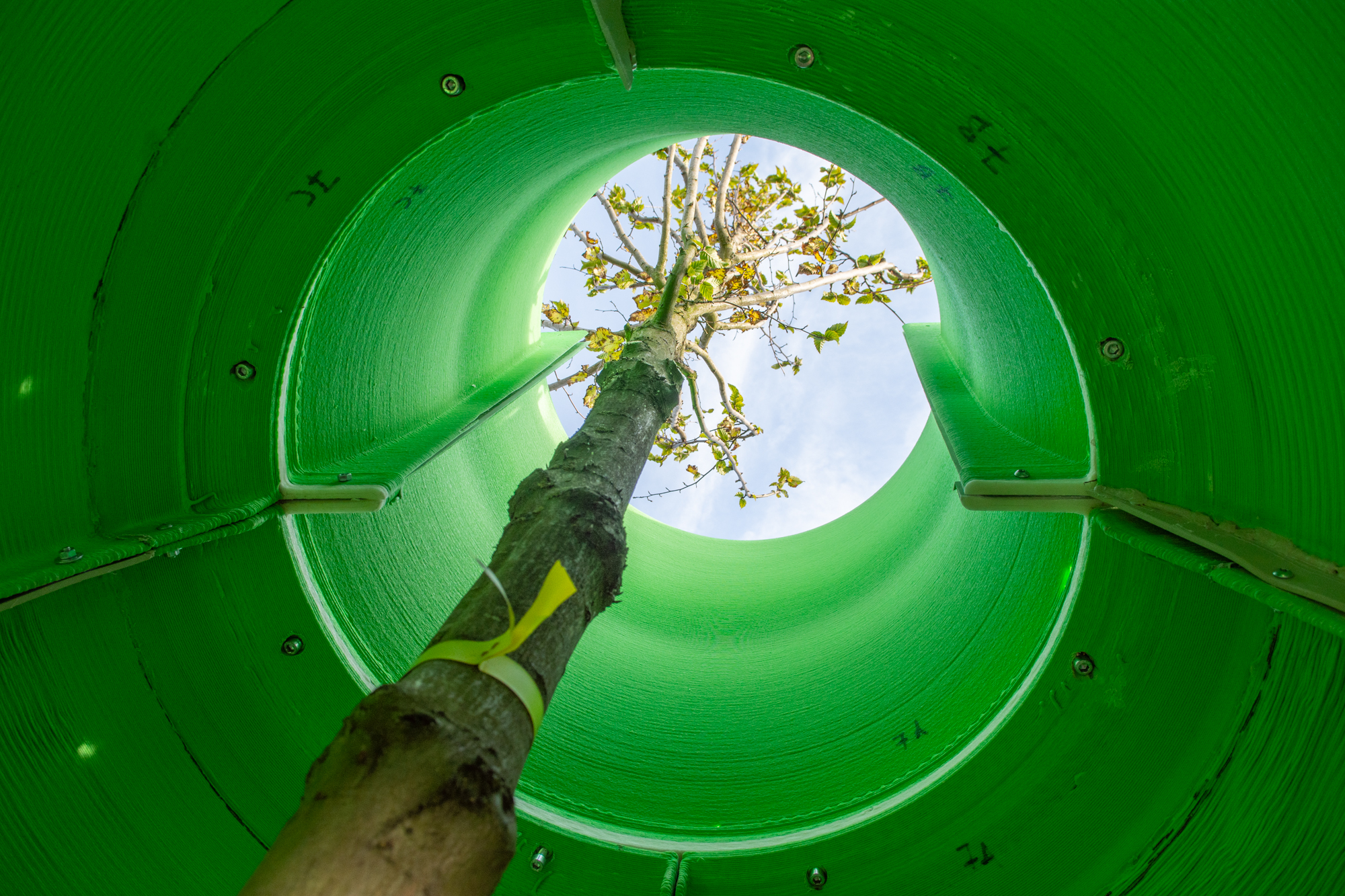 Beeld: Beeld René Post