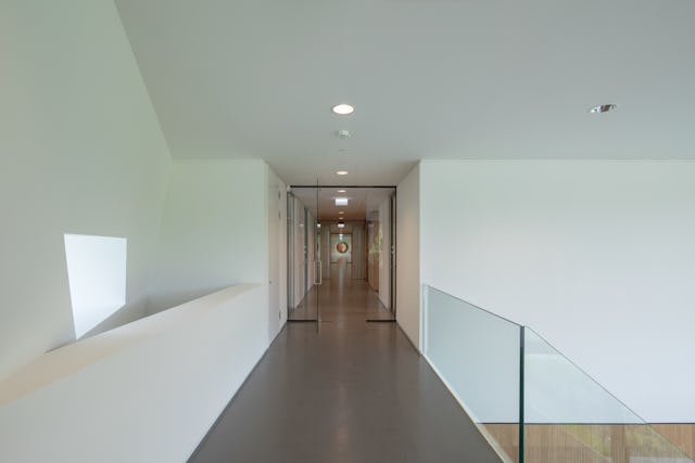 Trainingscomplex ‘1908’ Feyenoord Rotterdam door MoederscheimMoonen Architects, beeld Bart van Hoek