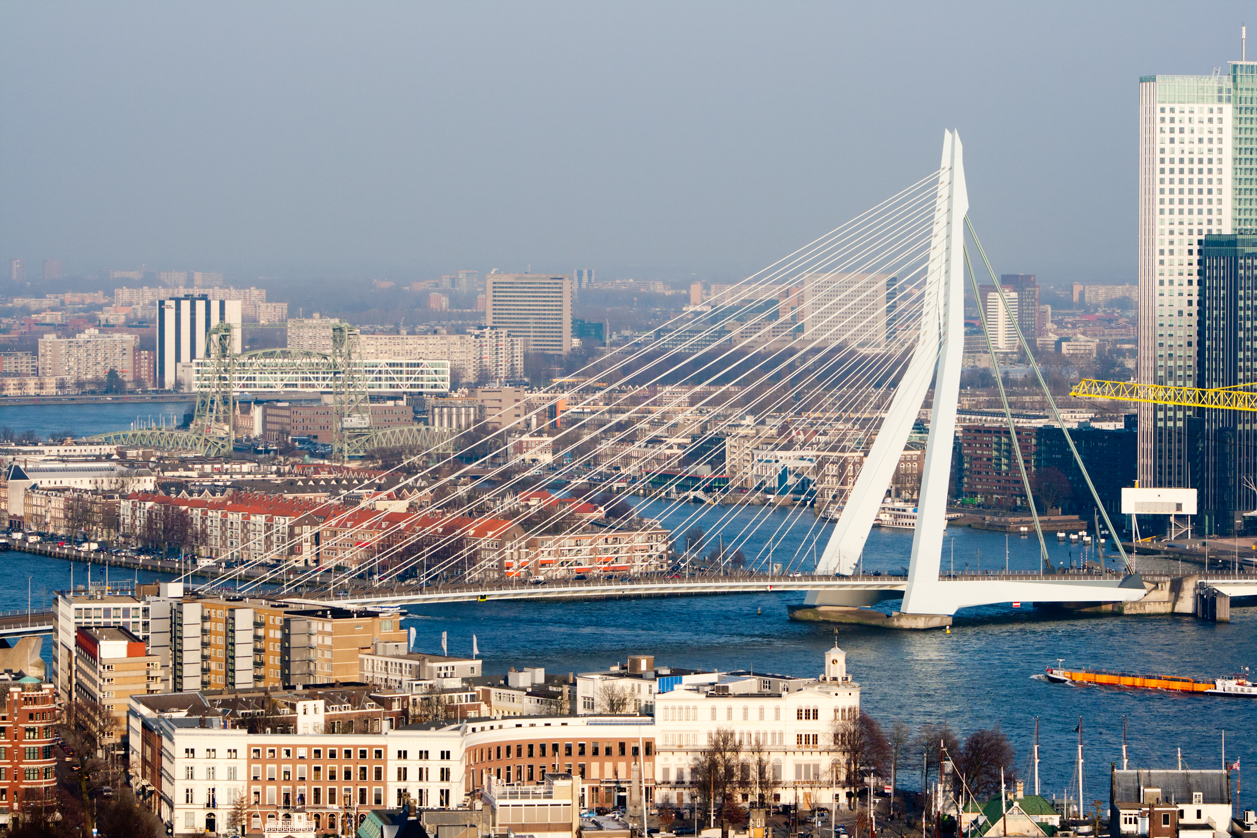 Erasmusbrug Rotterdam, beeld Shutterstock