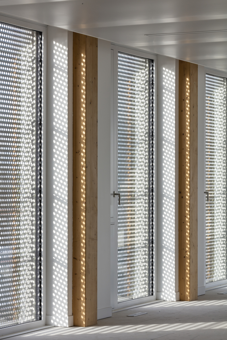 Green Office® ENJOY in Parijs door Baumschlager Eberle Architekten en SCAPE, beeld Luc Boegly