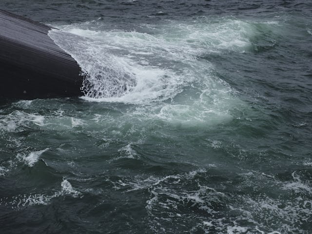 Restaurant 'Under' in Lindesnes Noorwegen door Snøhetta, beeld Ivar Kvaal