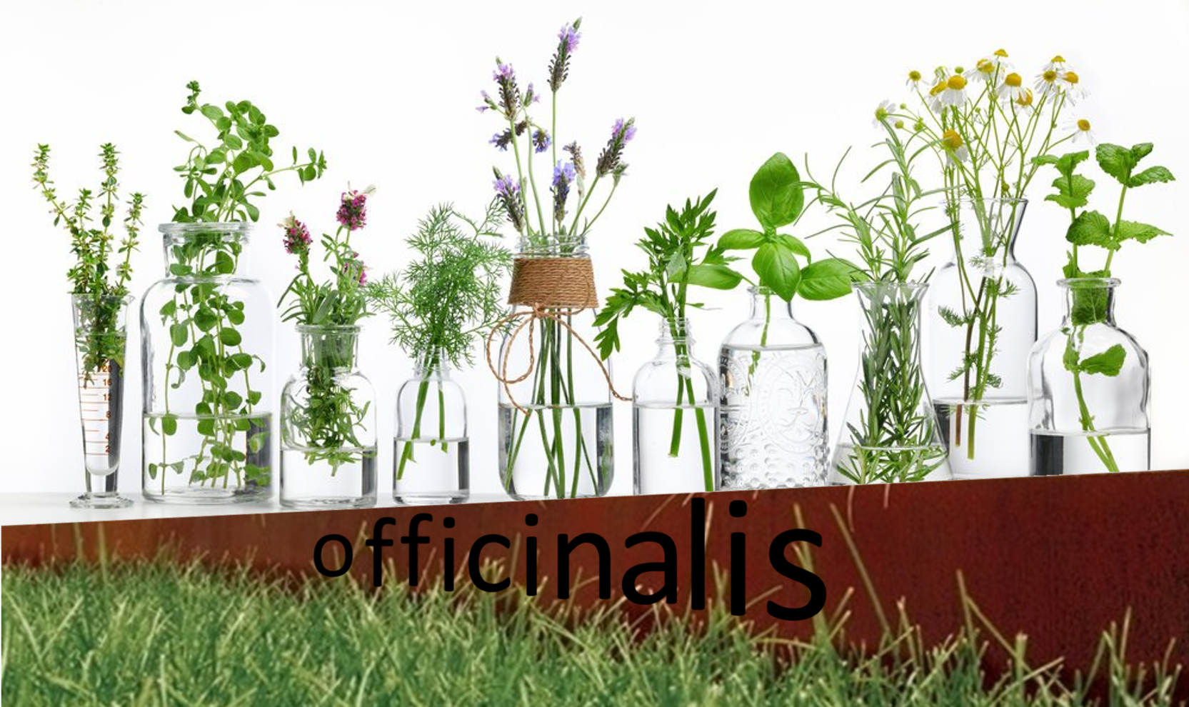 Officinalis door Arlien van der Kleijn wint ideeënwedstrijd Hartlijn