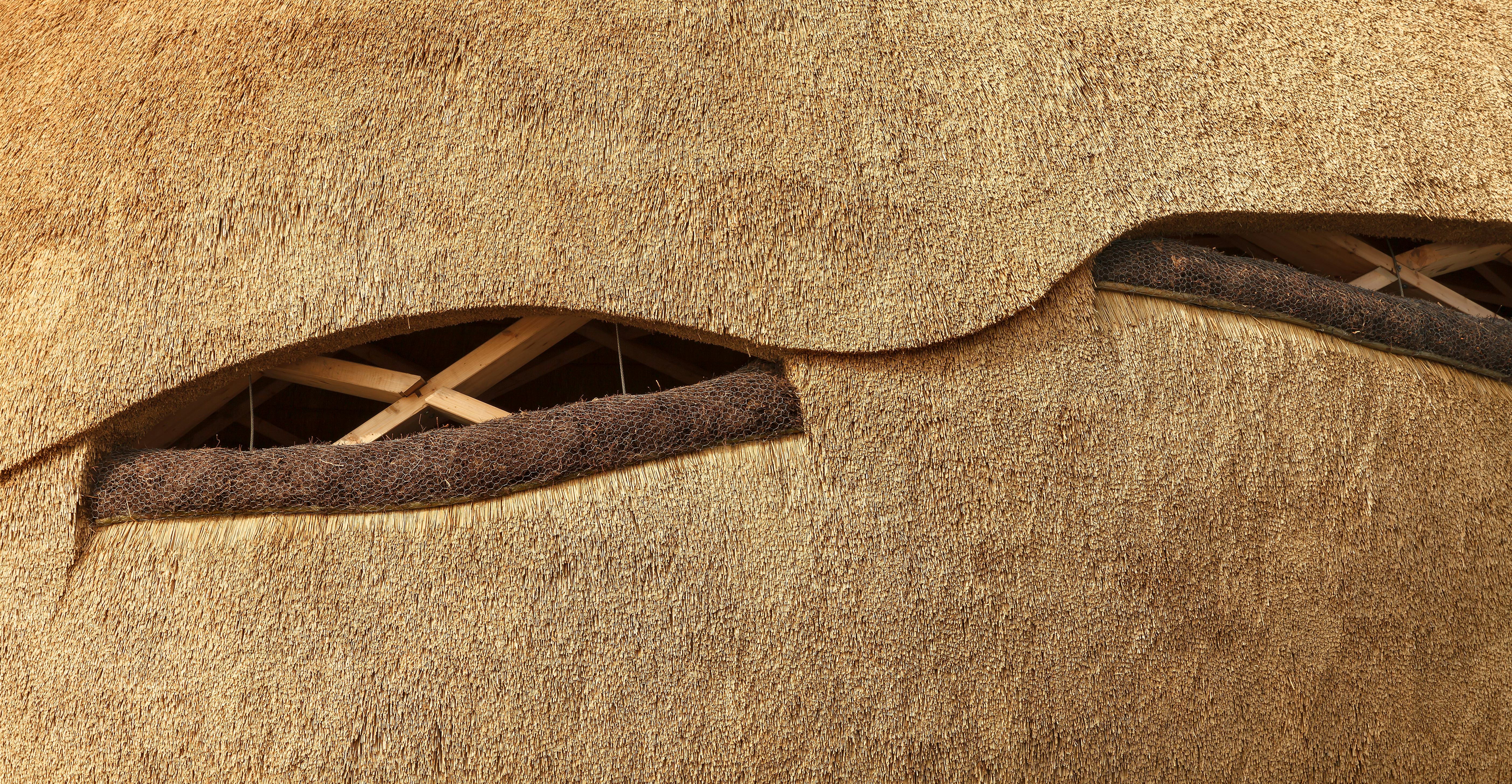 detail riet met heide, foto Katja Effting