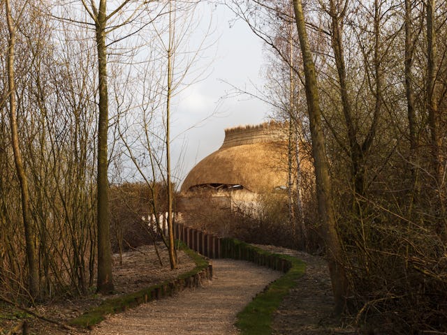 Vogelobservatorium 'T IJ 
ontwerp RO&AD architecten en RAU met houten Zollinger-constructie
