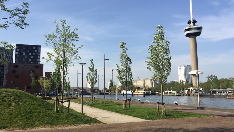 Zicht vanaf de Müllerpier op de Euromast Beeld RTV Rijnmond
