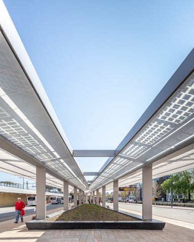 Beeld Lucas van der Wee