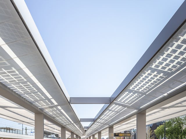 Beeld Lucas van der Wee