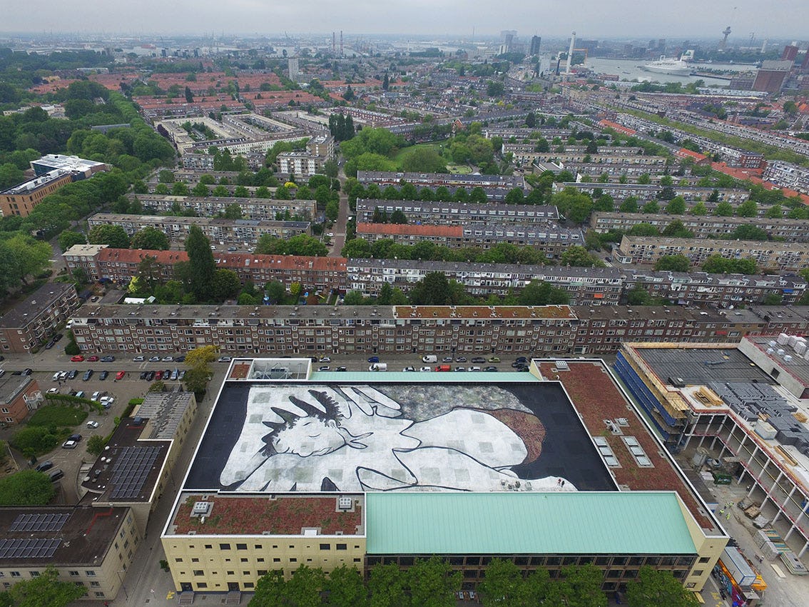 Rotterdam gaat de hoogte in met daklandschappen
