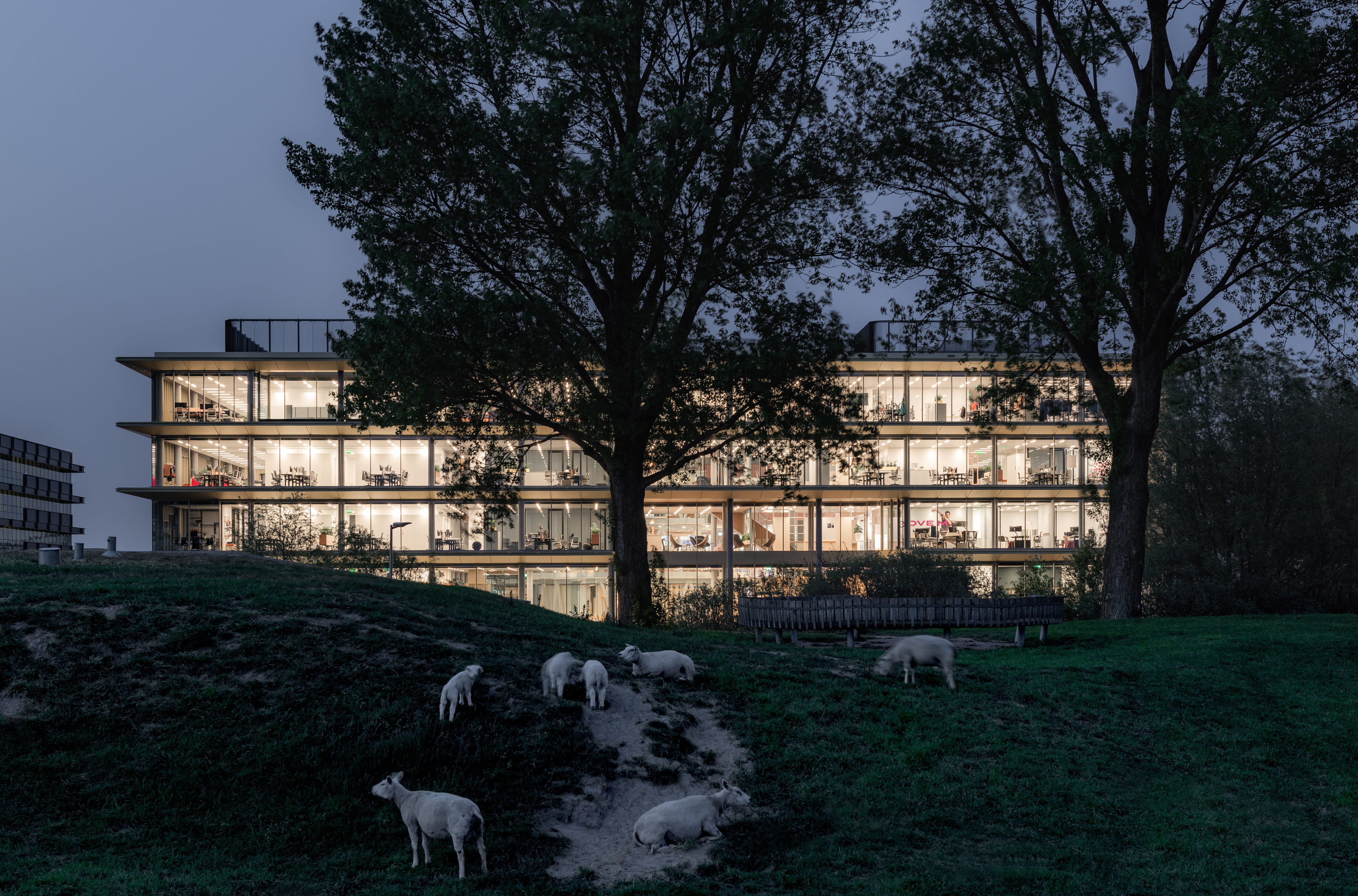 Hoofdkantoor ASICS EMEA in Hoofddorp door Powerhouse Company. Beeld Sebastian van Damme