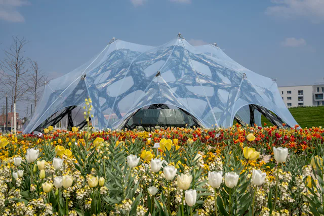 Beeld © ICD/ITKE, University of Stuttgart