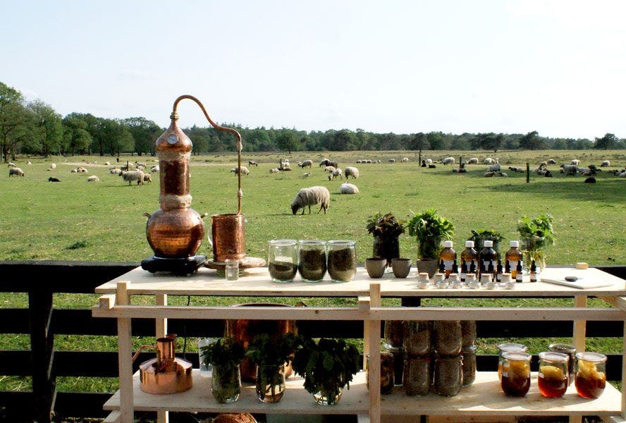 Farm Flower Fragrances door kunstenaar Claudy Jongstra winnaar van de Creative Heroes Award 2019 in de categorie 1:1.000.000