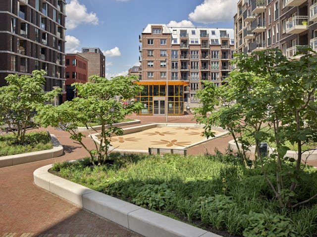 Paviljoen Zijdebalen Utrecht door Rijnboutt. Beeld Kees Hummel