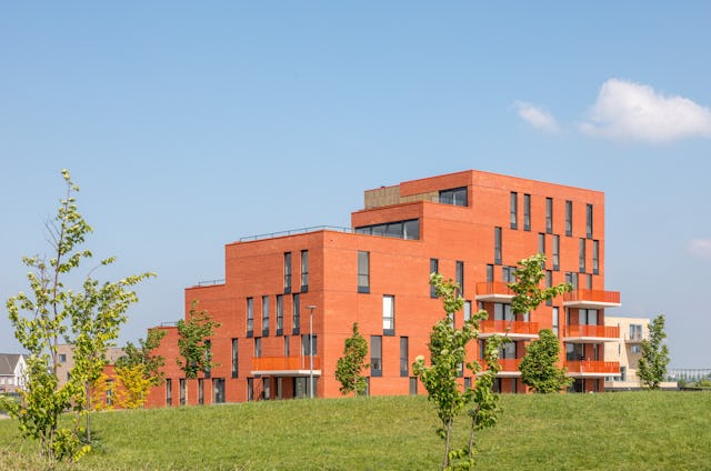 Beeld Sjaak Henselmans