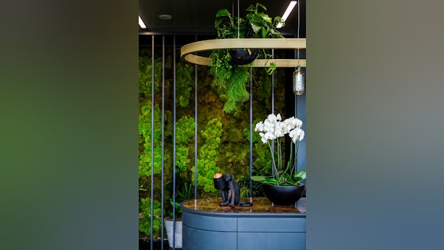 Fotografie: EDGE Technologies | detail