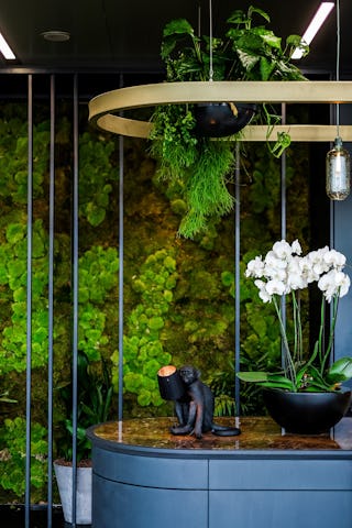 Fotografie: EDGE Technologies | detail