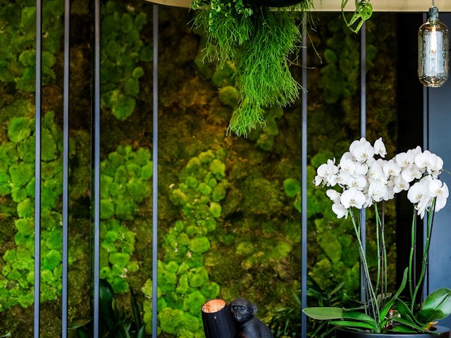 Fotografie: EDGE Technologies | detail