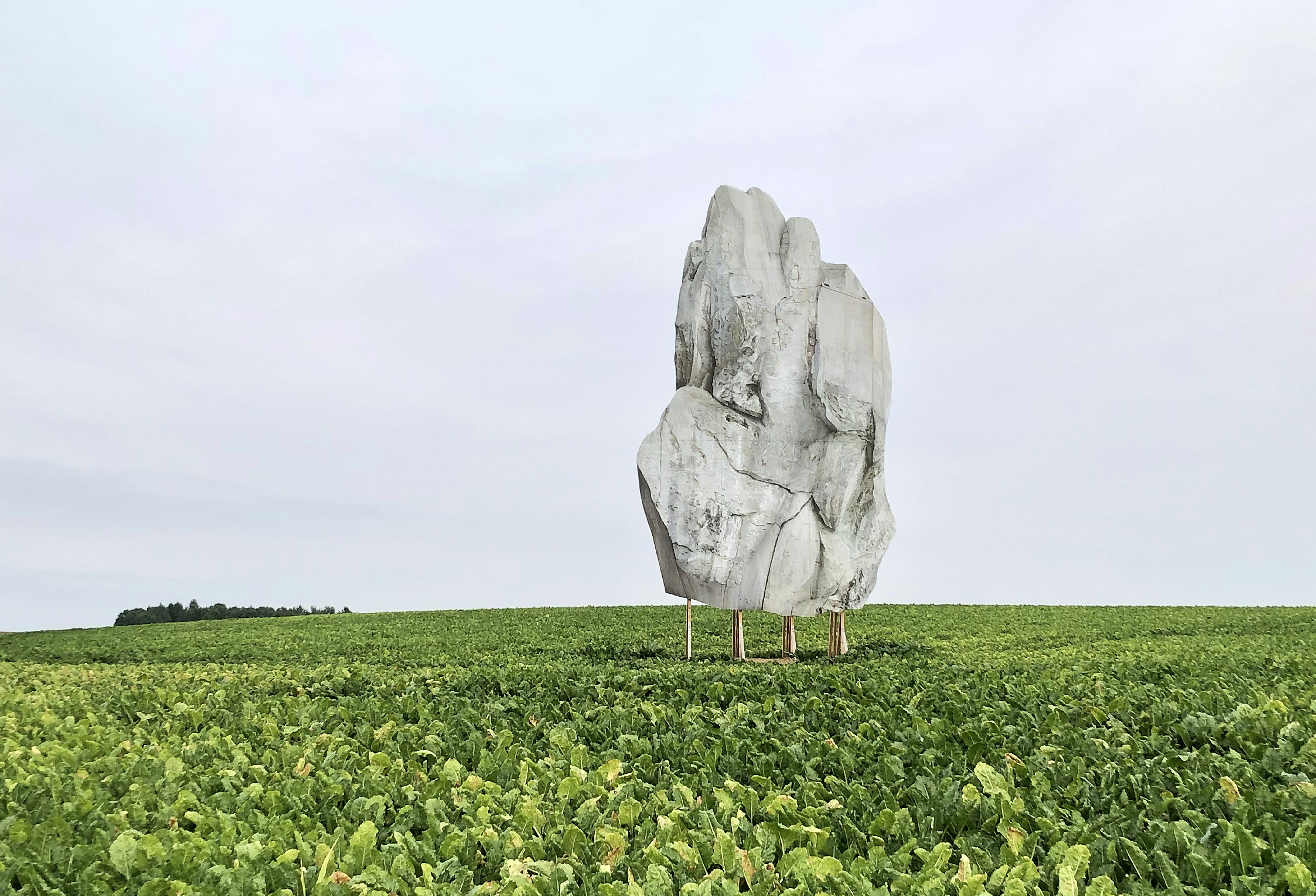 ARTEFACT 1 is een installatie in het landschap door Filip Dujardin en bestaat uit een billboard van een rots   Beeld Filip Dujardin