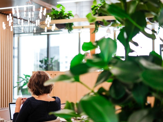 Fotografie: EDGE Technologies | Tiny Villa, soundscaping met pink noise en waterval