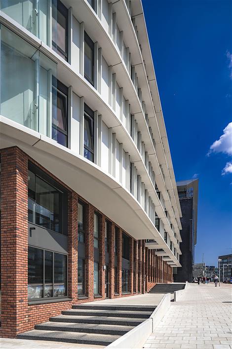 BosenLommerweg - foto: John Lewis Marshall