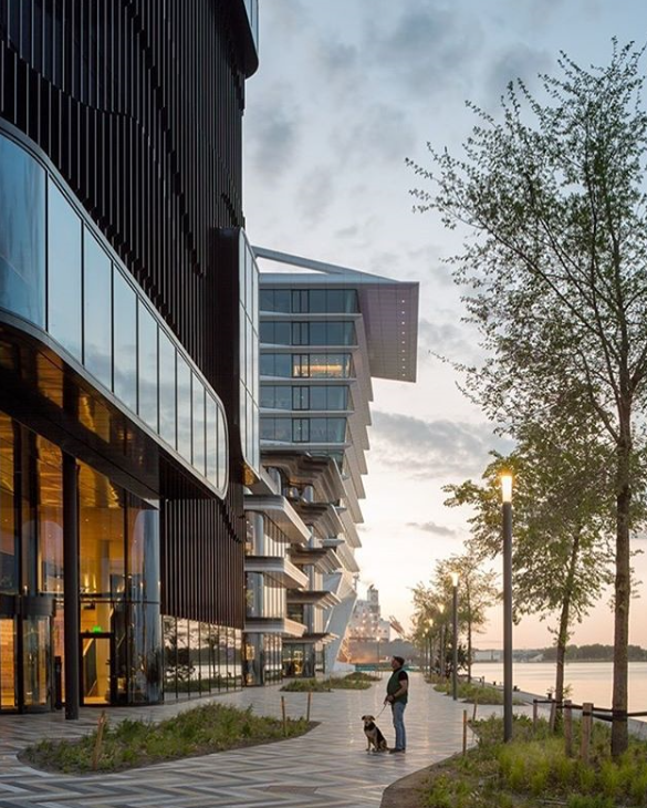 PVH - MVSA @Patrick Coerse